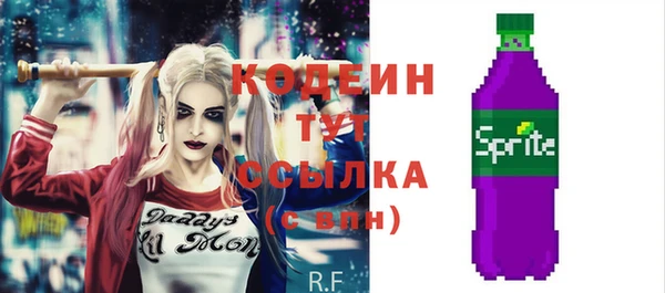 спиды Дмитриев